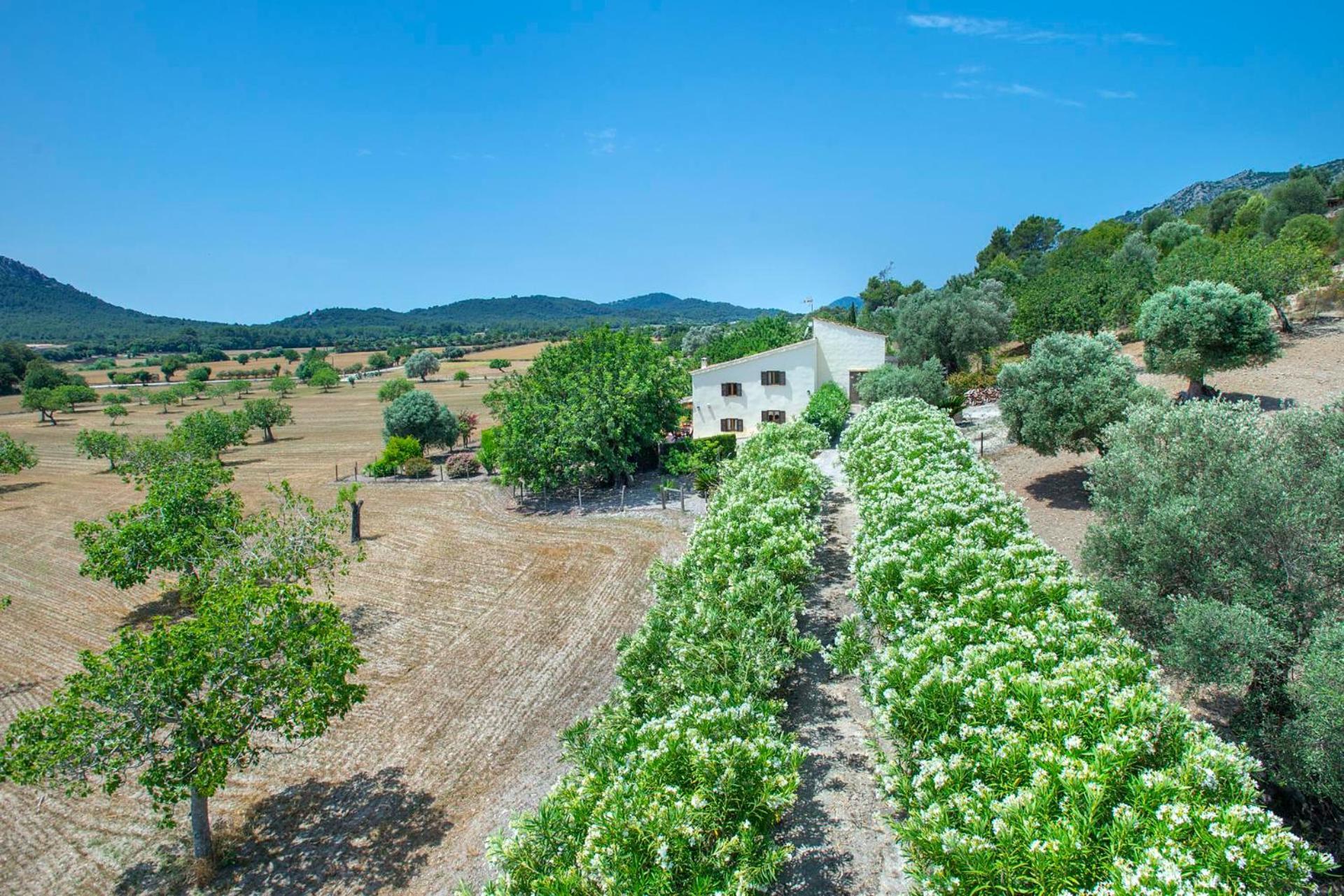 Villa Ca'l Gall By Vintage Travel *